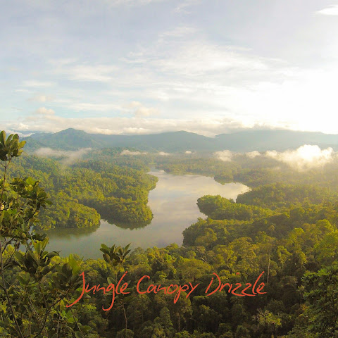 Nature Recordings