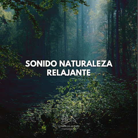 Sonido Del Bosque y Naturaleza