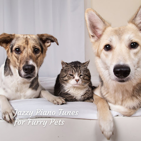 Relaxing Piano Music Consort