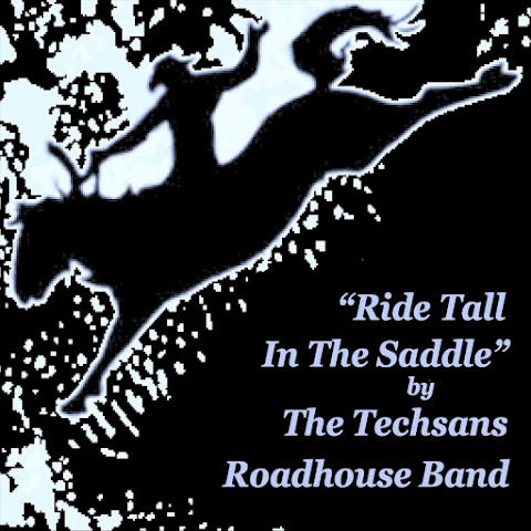 The Techsans Roadhouse Band