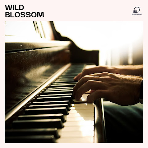 Relaxing Piano Melodies