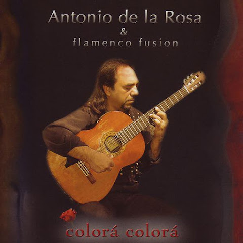 Flamenco Fusion