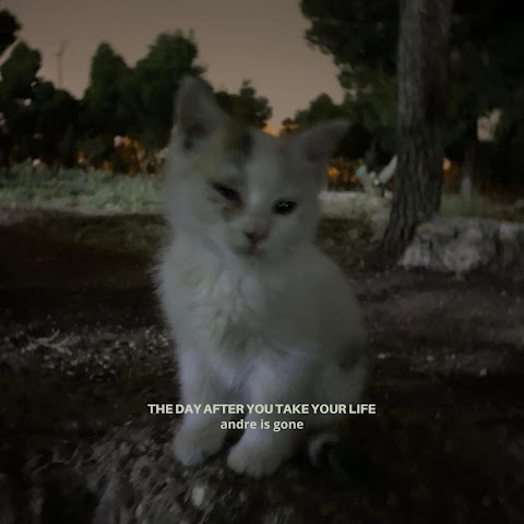 sad cats