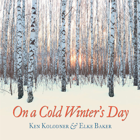 Ken Kolodner