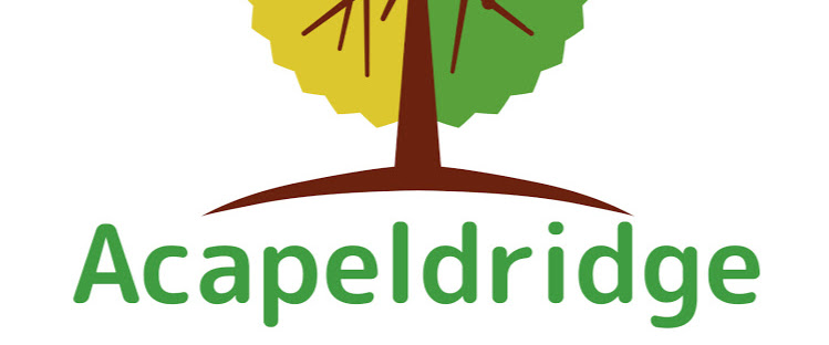 Acapeldridge