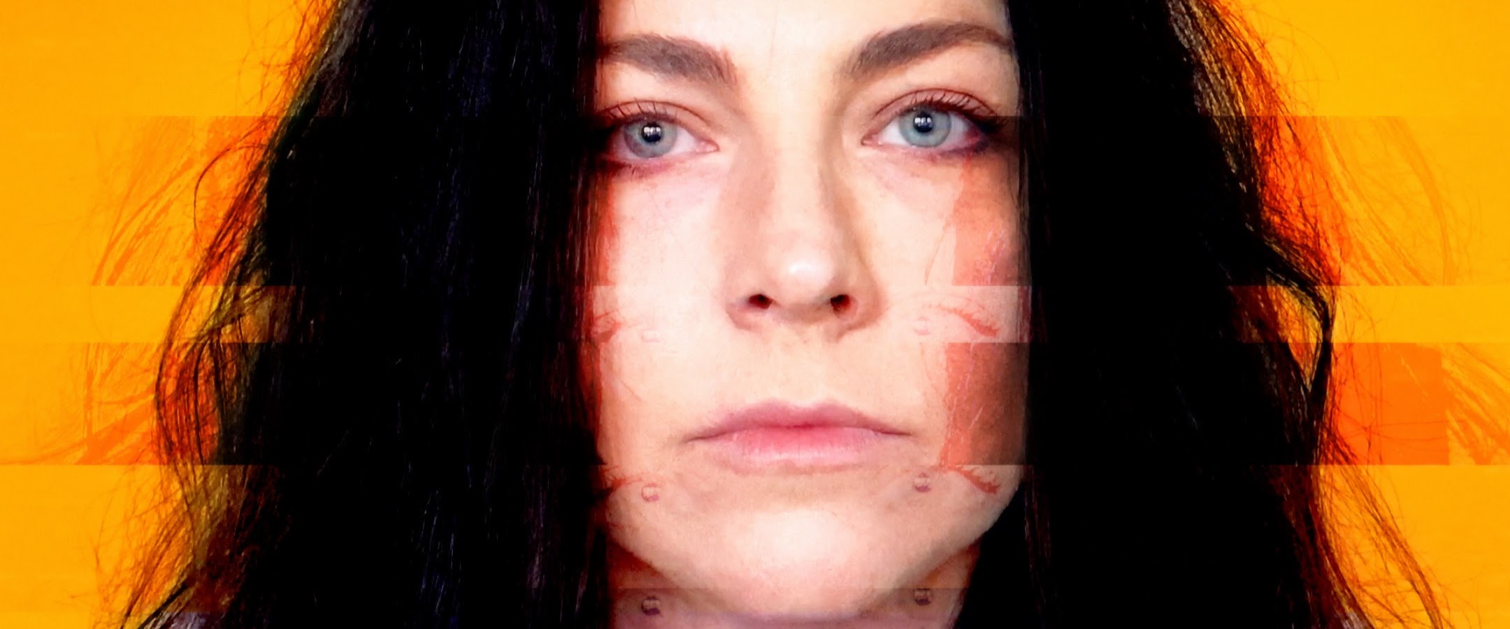 Amy Lee