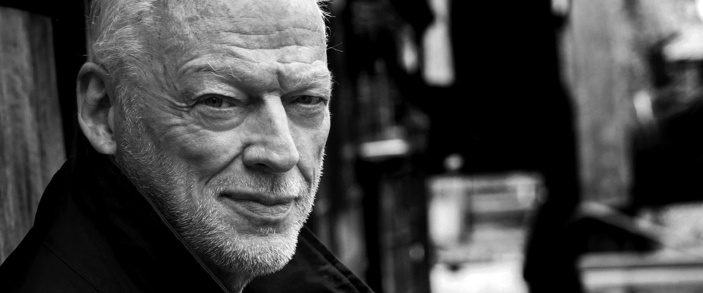 David Gilmour