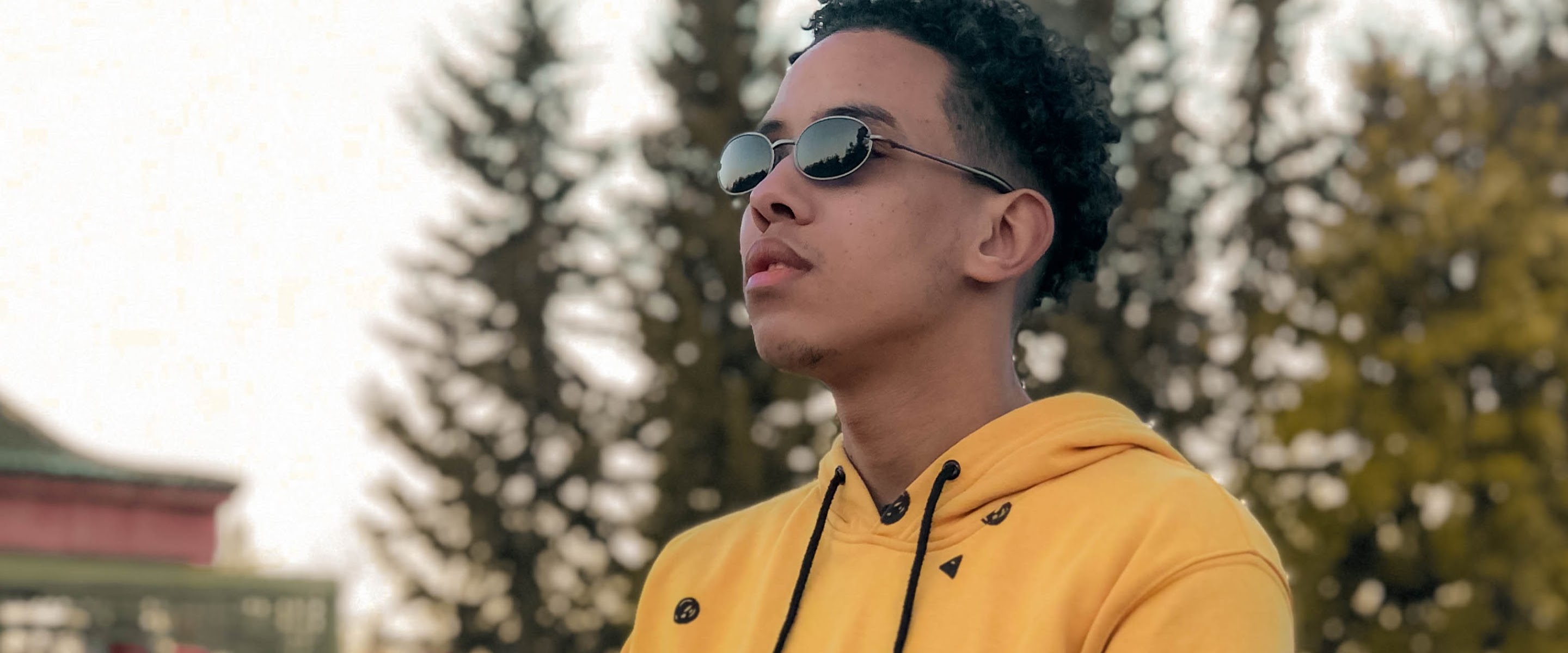 L'ICON