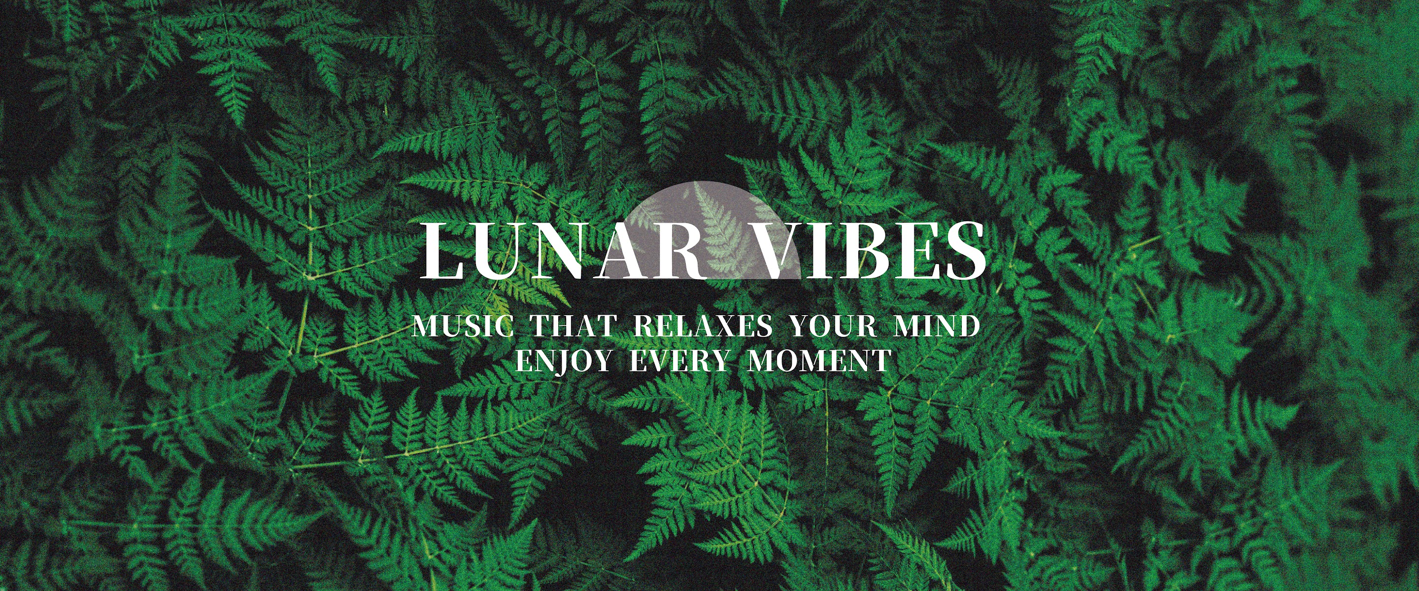 Lunar Vibes