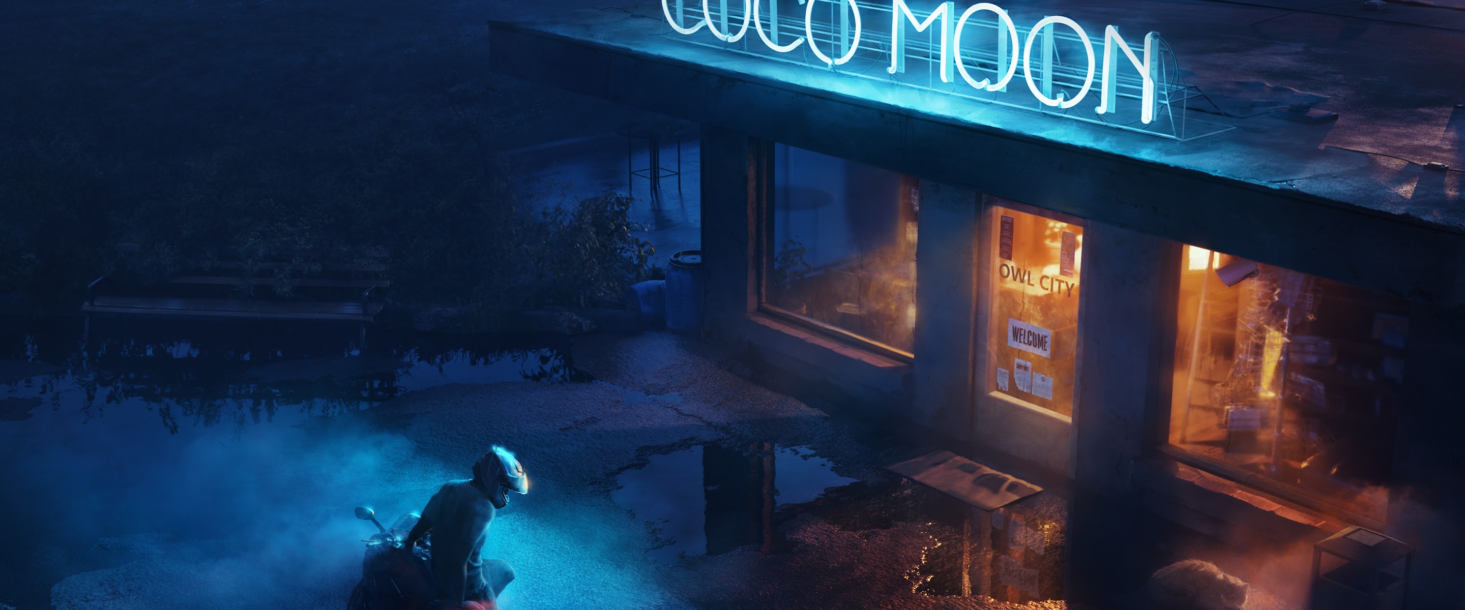 Owl City