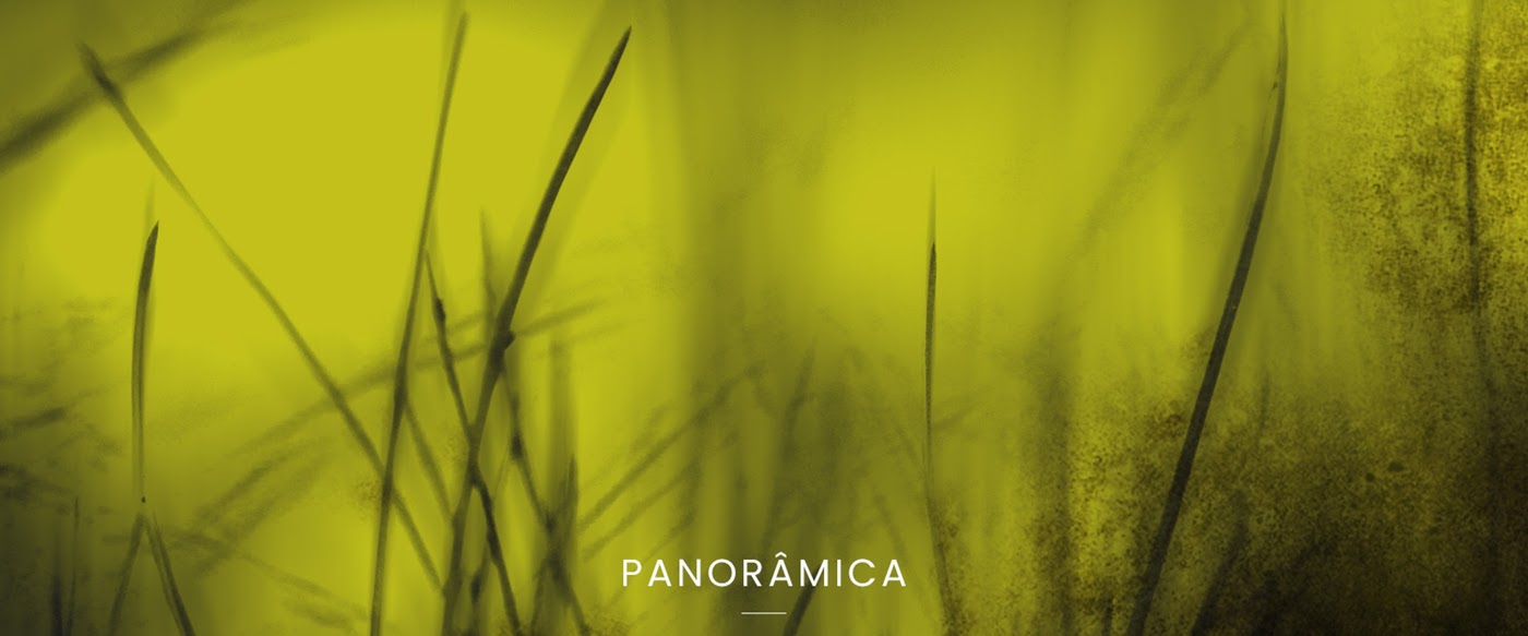 Panorâmica