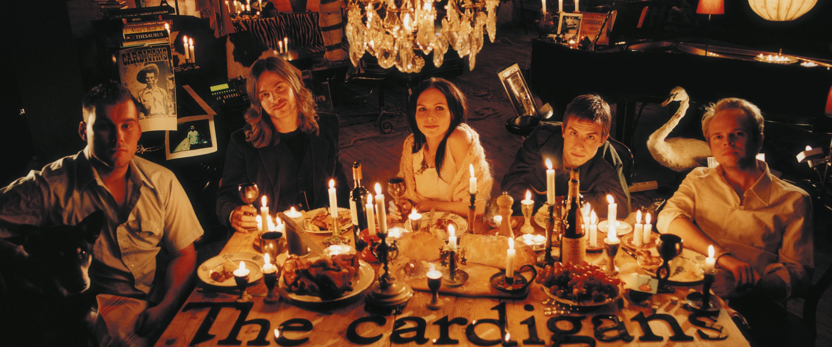 The Cardigans